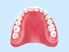 レジン（歯科用プラスチック）の入れ歯